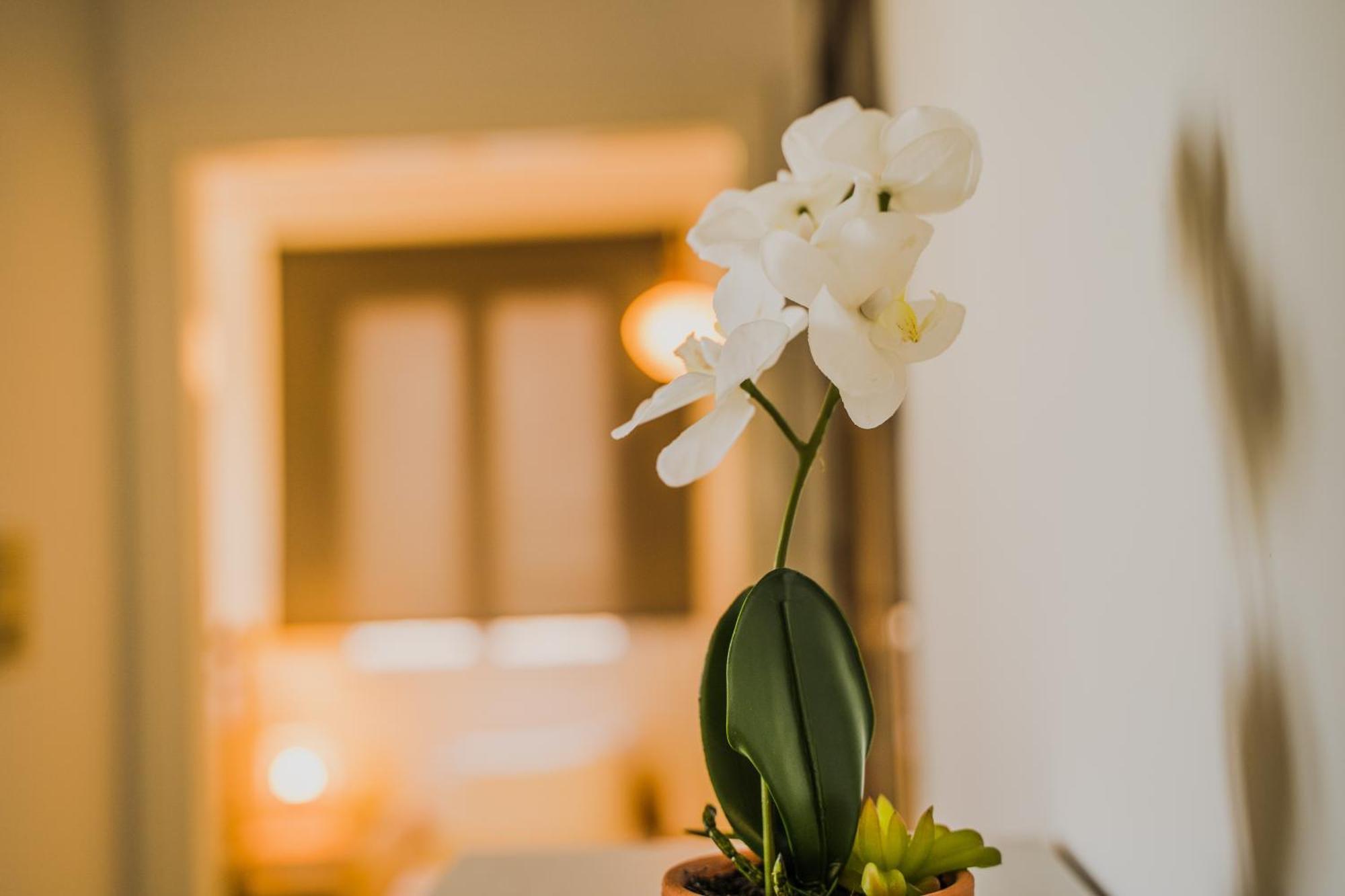 Green Apartment Ground Floor Feel Like Home Properties Saronida Buitenkant foto